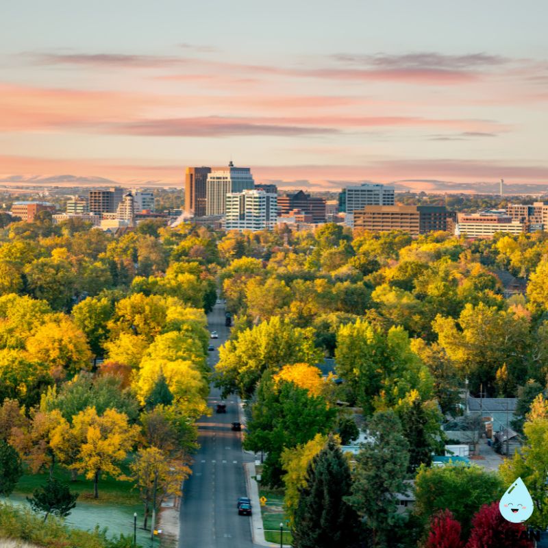 Boise ariel view