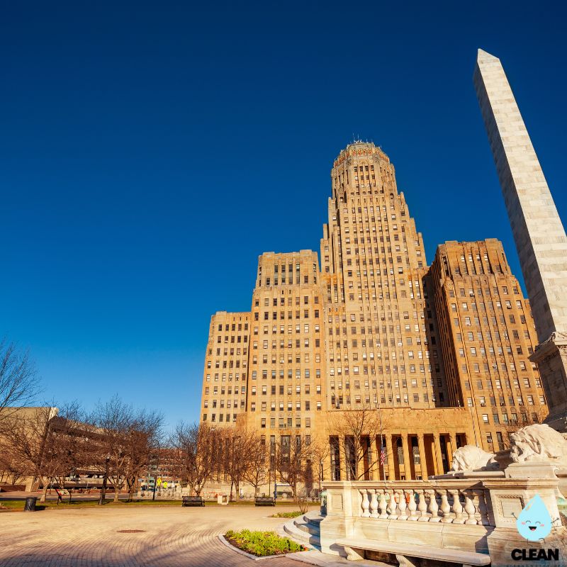 Buffalo skyline