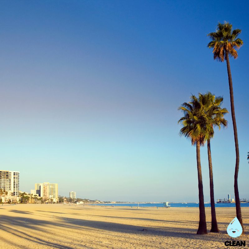 Lovely beach with 2 palm trees