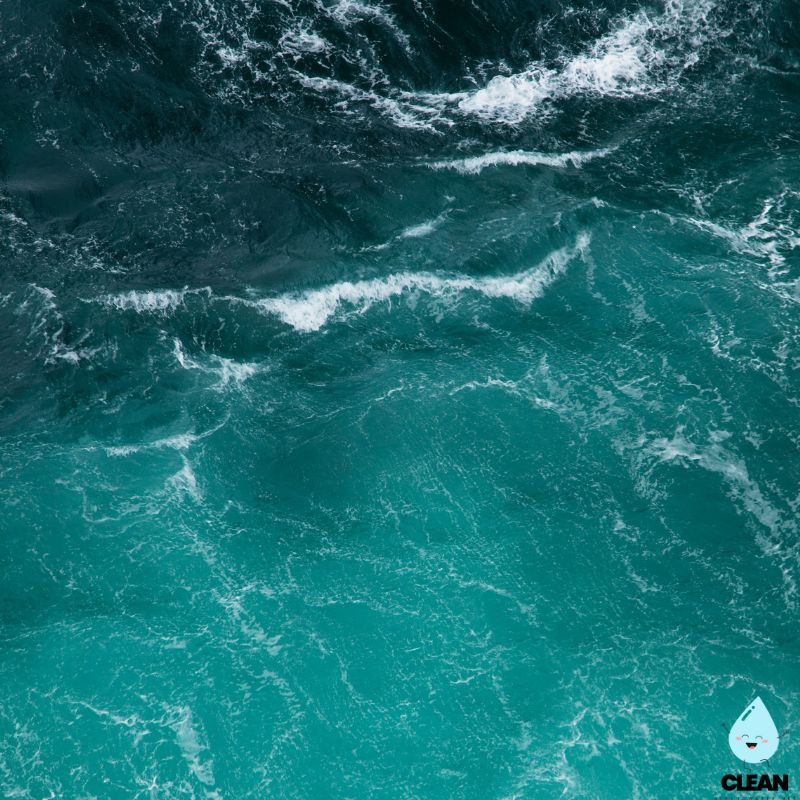 The sea