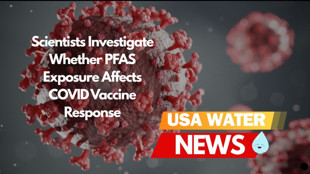Scientists Investigate Whether PFAS Exposure Affects COVID Vaccine Response
