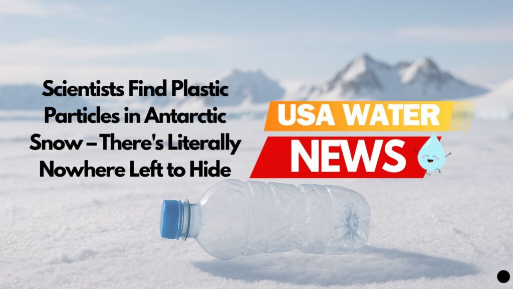 Scientists Find Plastic Particles in Antarctic Snow – There’s Literally Nowhere Left to Hide