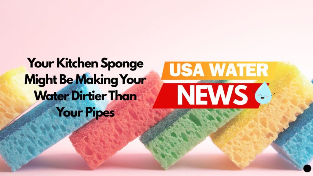 Your Kitchen Sponge Might Be Making Your Water Dirtier Than Your Pipes
